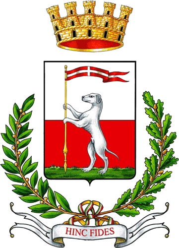 Informativa